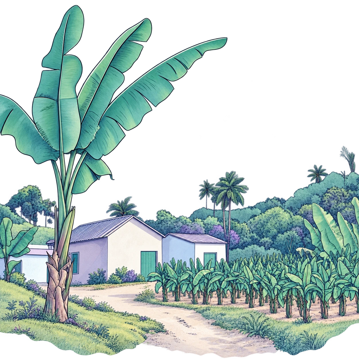 WAB illustration of homes and farmland in a rural landscape
